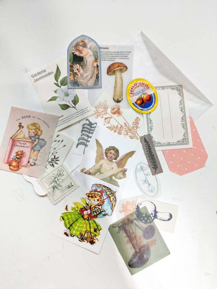 Vintage Ephemera Grab Bag - Junk Journal Kit with Old Book Pages Maps