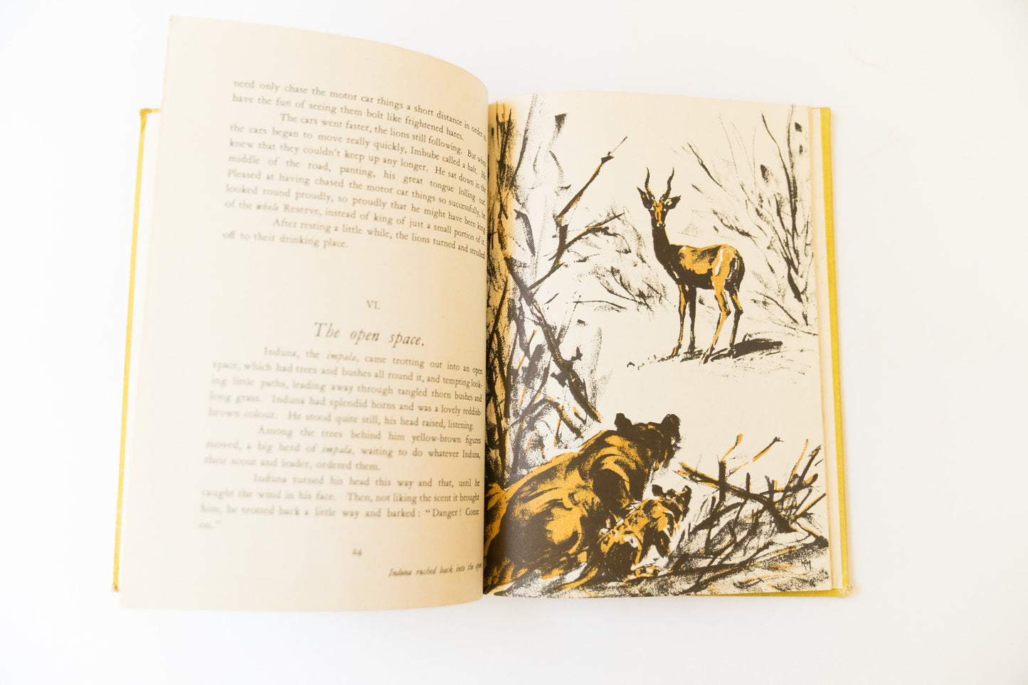 Vintage Childrens Book - 1948 Munya the Lion by Dorothy Martin Kidell-Monroe