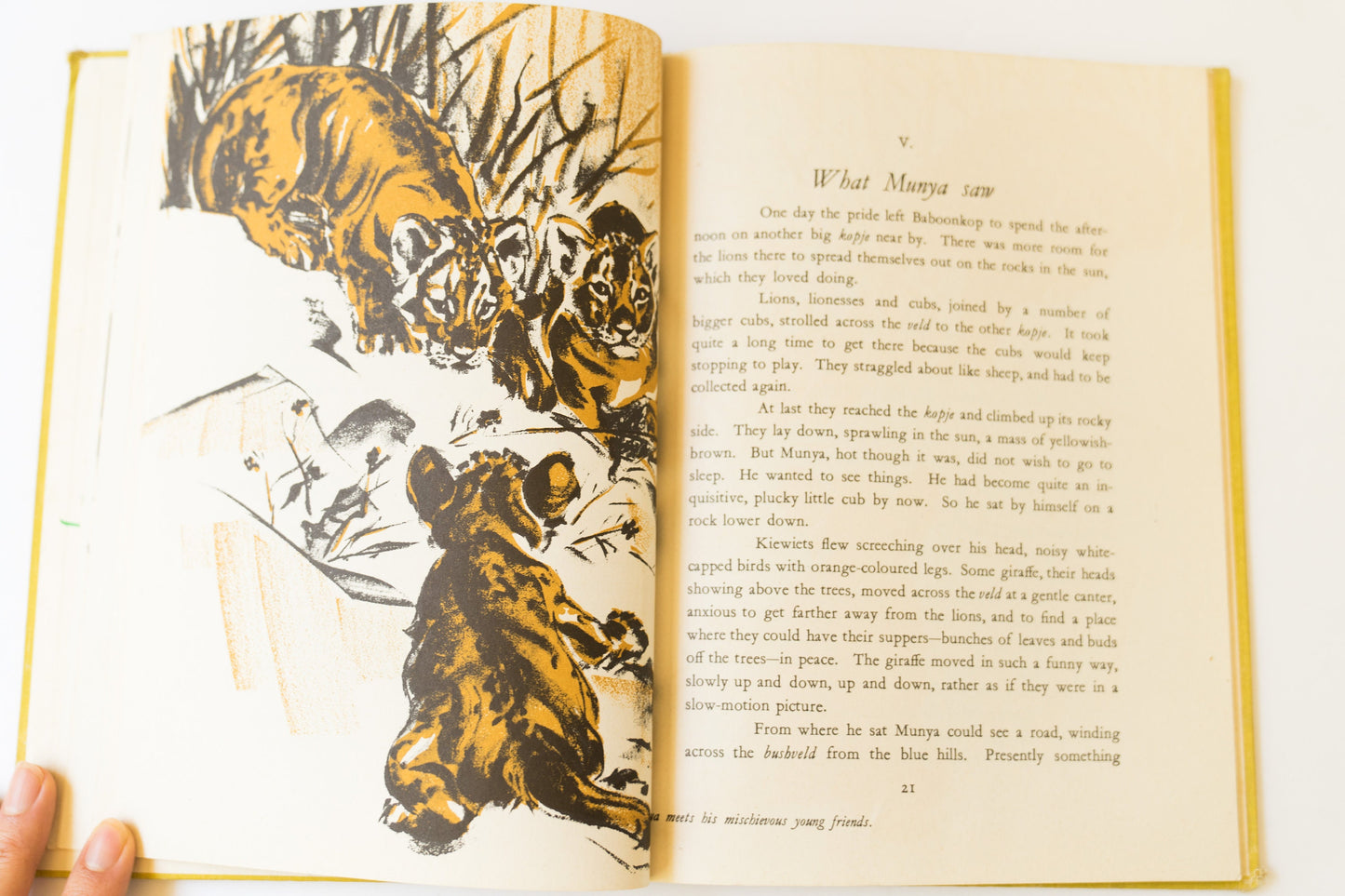 Vintage Childrens Book - 1948 Munya the Lion by Dorothy Martin Kidell-Monroe