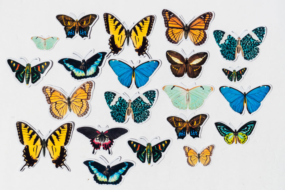 Vintage Butterfly Sticker Pack - 14 Cute Floral Stickers