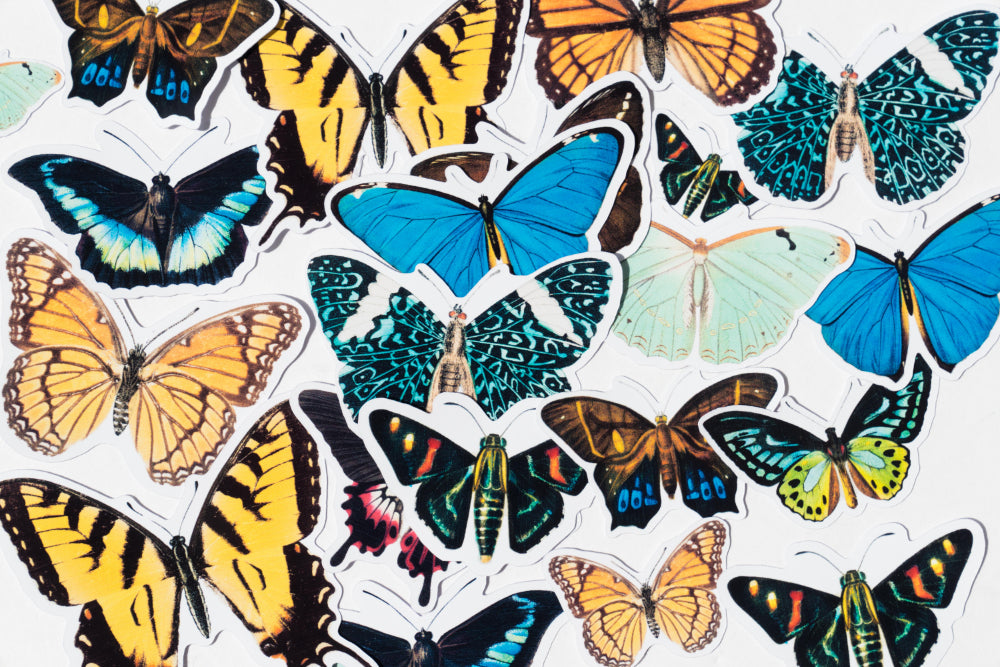 Vintage Butterfly Sticker Pack - 14 Cute Floral Stickers