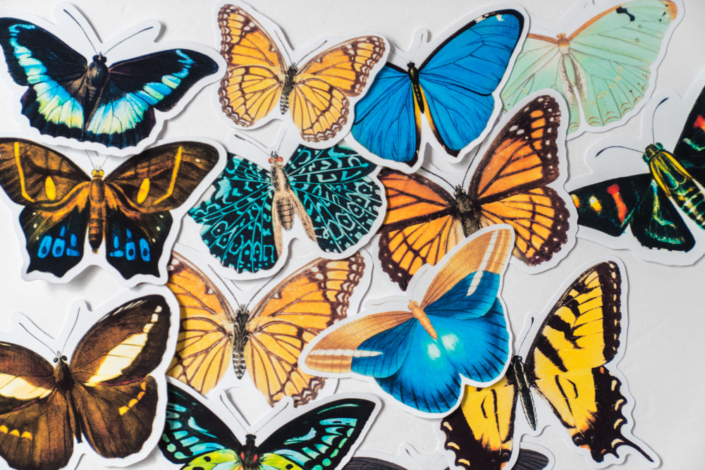 Vintage Butterfly Sticker Pack - 14 Cute Floral Stickers