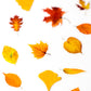 Autumn Leaves Sticker Pack - Clear Maple Fall Botanical Stickers for Journals