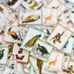 Vintage Animal Stamp Stickers - Animal Sticker Pack for Journaling and Scrapbooking