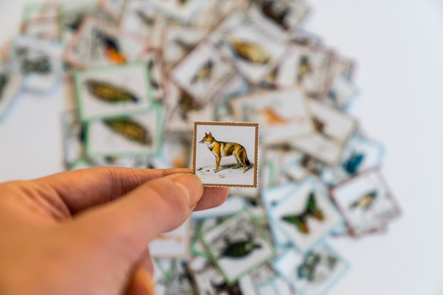 Vintage Animal Stamp Stickers - Animal Sticker Pack for Journaling and Scrapbooking