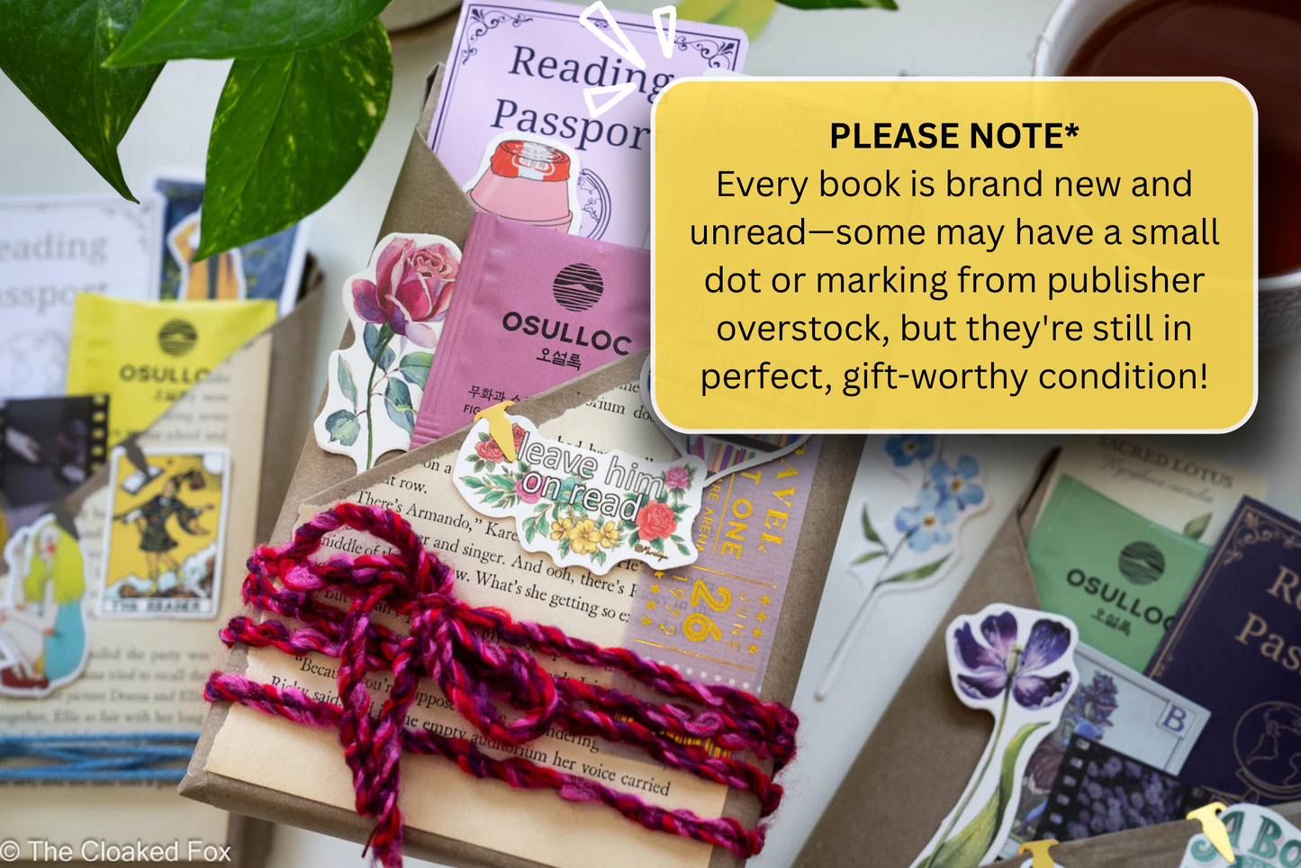 Blind Date With A Book